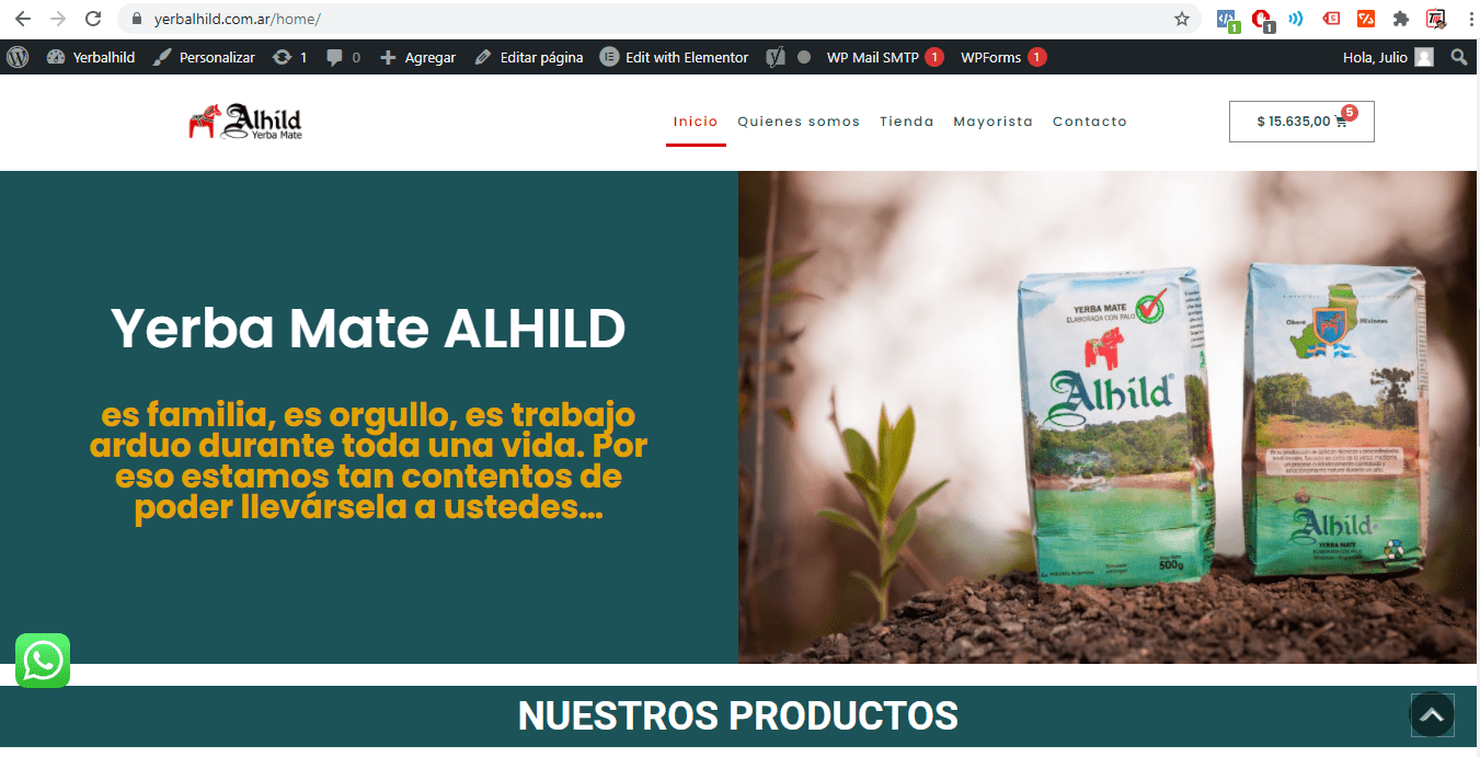 Alhild diseño web - Team Marketing